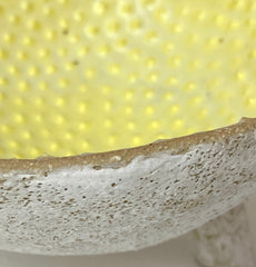 Acorn Bowl