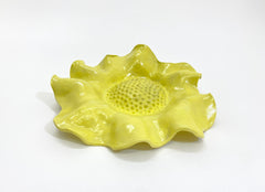 Daffodil Flower