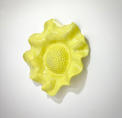 Daffodil Flower