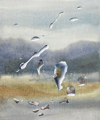 Rain Drops over Gariwerd