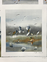 Showers over Gariwerd