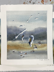 Rain Drops over Gariwerd