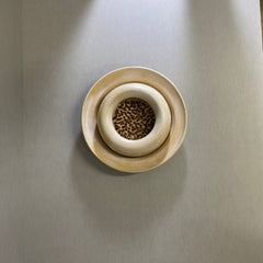 Wall Dish in Pink