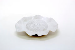 White Flower