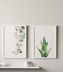 Paper Empire Australia catalogue