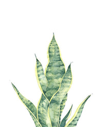 Stefan Gevers - Saint George's Sword